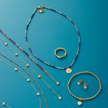 ROSE Ciao Gold – Blaunuancen mit Münz-Charme